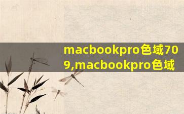 macbookpro色域709,macbookpro色域