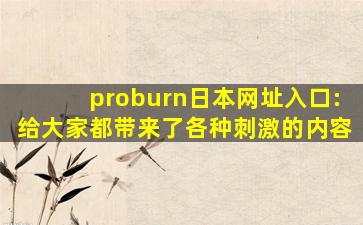 proburn日本网址入口:给大家都带来了各种刺激的内容