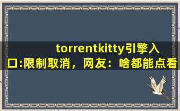 torrentkitty引擎入口:限制取消，网友：啥都能点看！