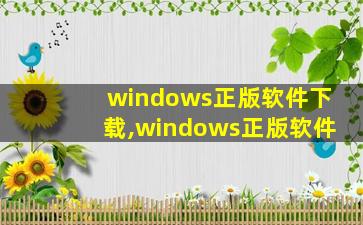 windows正版软件下载,windows正版软件