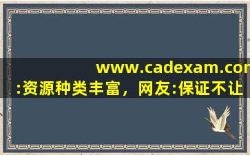 www.cadexam.com:资源种类丰富，网友:保证不让你剧荒！,www开头的域名