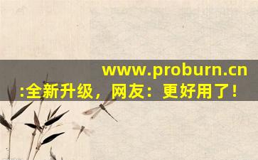 www.proburn.cn:全新升级，网友：更好用了！