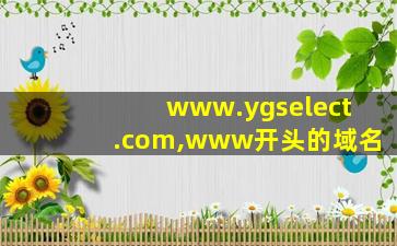 www.ygselect.com,www开头的域名