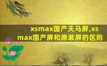 xsmax国产天马屏,xsmax国产屏和原装屏的区别