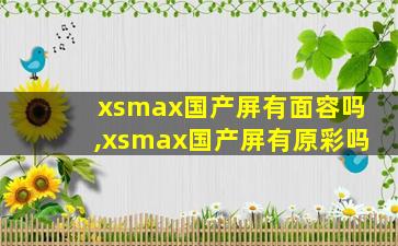 xsmax国产屏有面容吗,xsmax国产屏有原彩吗