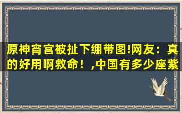 原神宵宫被扯下绷带图!网友：真的好用啊救命！,中国有多少座紫霄宫
