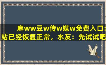 麻ww豆w传w媒w免费入口:网站已经恢复正常，水友：先试试吧！