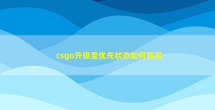 csgo升级至优先状态如何购买